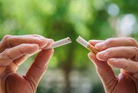 velo tobacco What Is VELO? Introduction to Nicotine Pouch Brand
