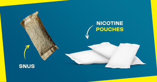 snus vs nicotine pouches 